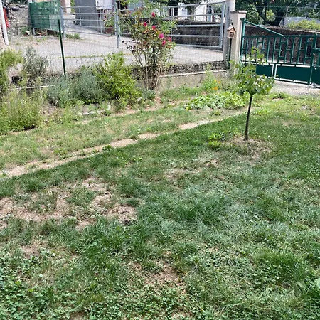 Un Cocon En Haute-ariege Savignac-les-Ormeaux